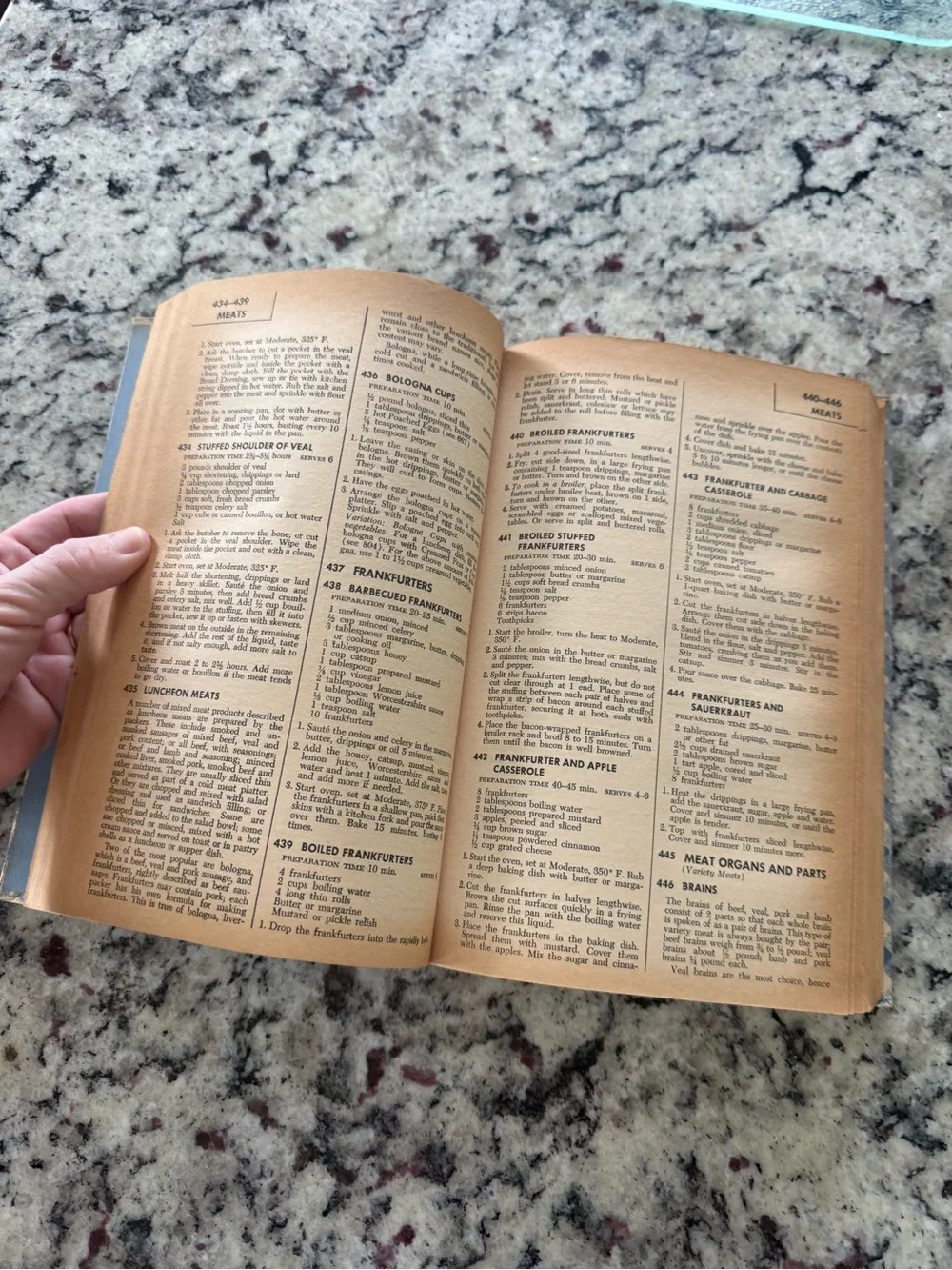 The American Everyday Cookbook — Blue Plaid Kitchen Cookbook 1950’s